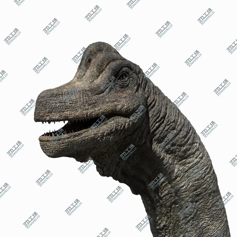 images/goods_img/20210113/3D Brachiosaurus (Rigged)/4.jpg